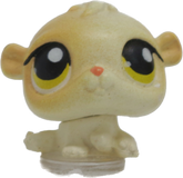 #T4 Teensiest Hamster